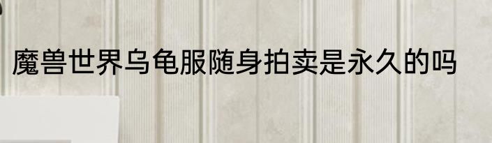 魔兽世界乌龟服随身拍卖是永久的吗