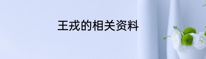 王戎的相关资料