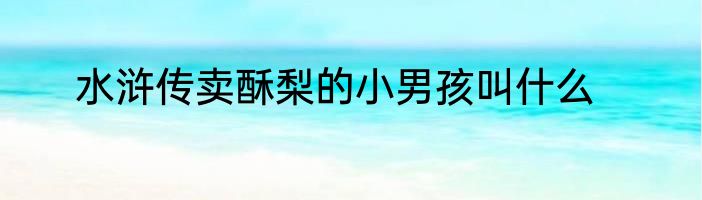 水浒传卖酥梨的小男孩叫什么