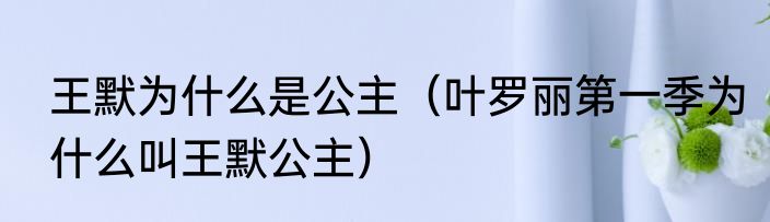 王默为什么是公主（叶罗丽第一季为什么叫王默公主）