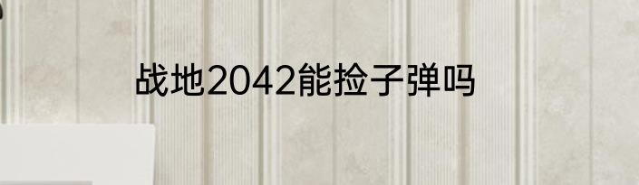 战地2042能捡子弹吗