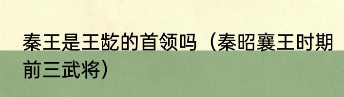秦王是王龁的首领吗（秦昭襄王时期前三武将）