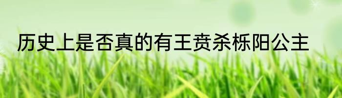历史上是否真的有王贲杀栎阳公主