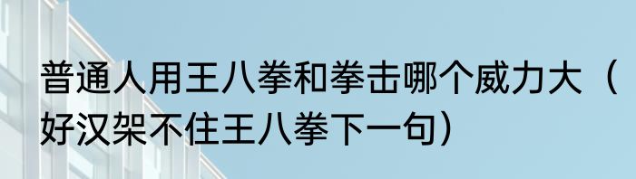 普通人用王八拳和拳击哪个威力大（好汉架不住王八拳下一句）