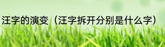 汪字的演变（汪字拆开分别是什么字）