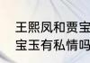王熙凤和贾宝玉的关系（王熙凤和贾宝玉有私情吗）