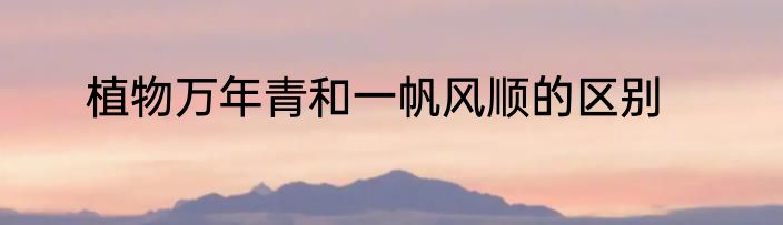 植物万年青和一帆风顺的区别