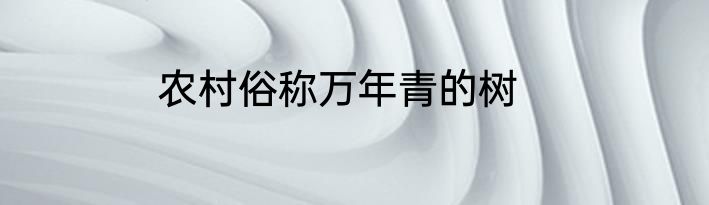 农村俗称万年青的树