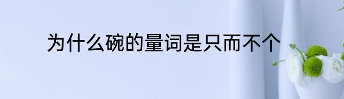 为什么碗的量词是只而不个