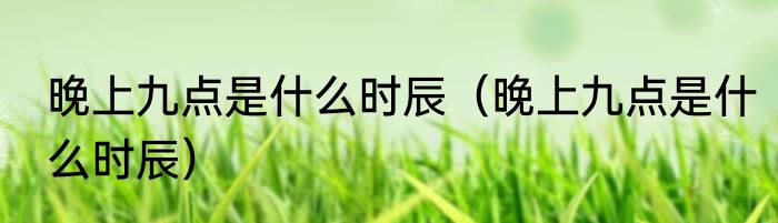 晚上九点是什么时辰（晚上九点是什么时辰）