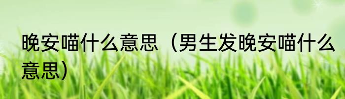 晚安喵什么意思（男生发晚安喵什么意思）