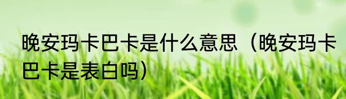 晚安玛卡巴卡是什么意思（晚安玛卡巴卡是表白吗）