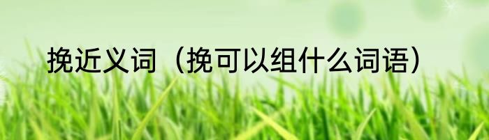 挽近义词（挽可以组什么词语）