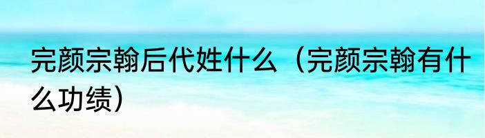 完颜宗翰后代姓什么（完颜宗翰有什么功绩）