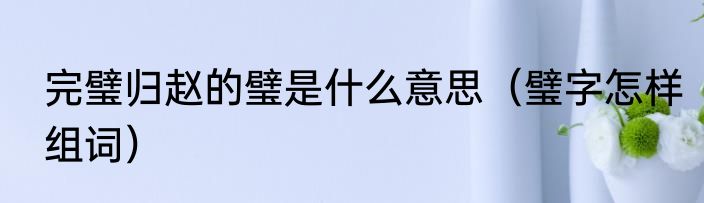 完璧归赵的璧是什么意思（璧字怎样组词）