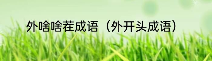 外啥啥茬成语（外开头成语）