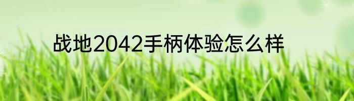 战地2042手柄体验怎么样