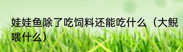 娃娃鱼除了吃饲料还能吃什么（大鲵喂什么）