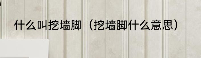 什么叫挖墙脚（挖墙脚什么意思）