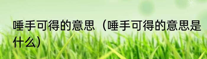 唾手可得的意思（唾手可得的意思是什么）