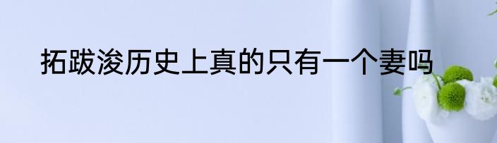 拓跋浚历史上真的只有一个妻吗