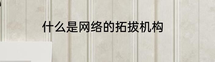 什么是网络的拓拔机构