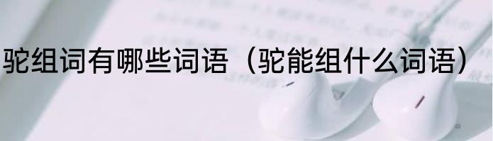 驼组词有哪些词语（驼能组什么词语）