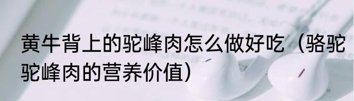黄牛背上的驼峰肉怎么做好吃（骆驼驼峰肉的营养价值）