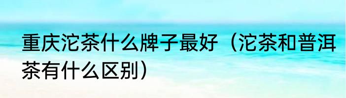 重庆沱茶什么牌子最好（沱茶和普洱茶有什么区别）