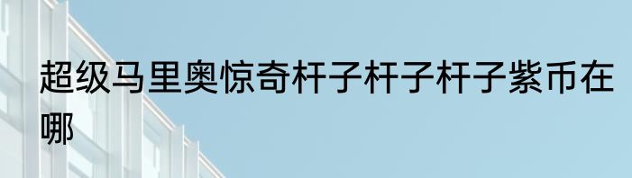 超级马里奥惊奇杆子杆子杆子紫币在哪