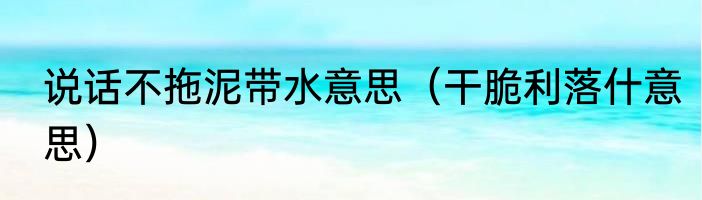 说话不拖泥带水意思（干脆利落什意思）