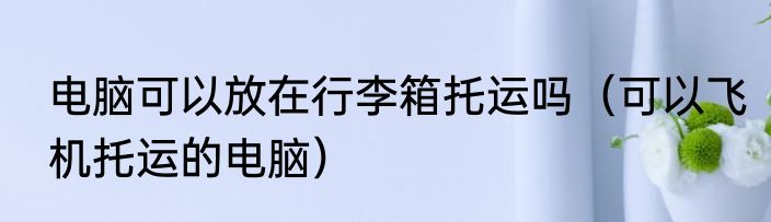 电脑可以放在行李箱托运吗（可以飞机托运的电脑）