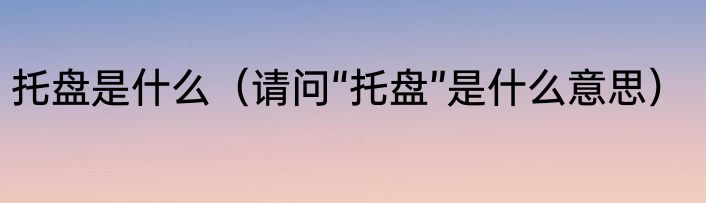 托盘是什么（请问“托盘”是什么意思）