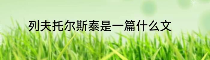 列夫托尔斯泰是一篇什么文