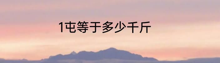 1屯等于多少千斤