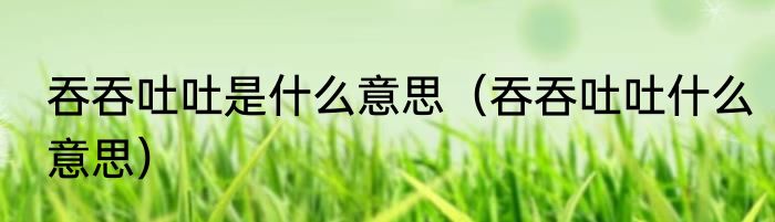 吞吞吐吐是什么意思（吞吞吐吐什么意思）