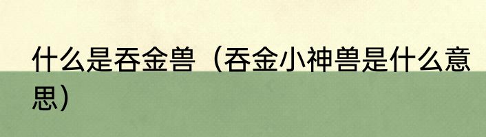 什么是吞金兽（吞金小神兽是什么意思）