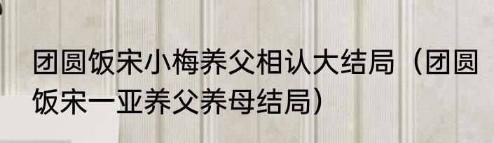 团圆饭宋小梅养父相认大结局（团圆饭宋一亚养父养母结局）