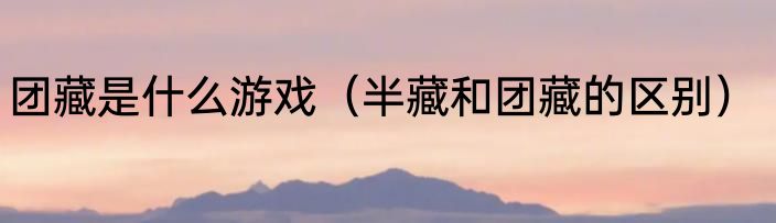 团藏是什么游戏（半藏和团藏的区别）