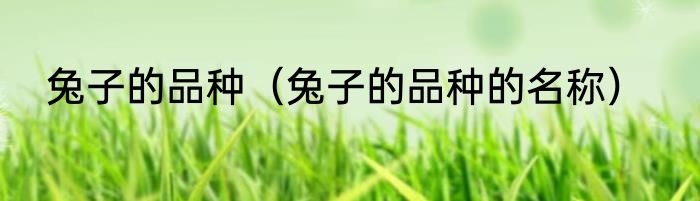 兔子的品种（兔子的品种的名称）