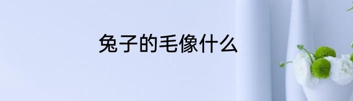 兔子的毛像什么
