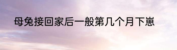 母兔接回家后一般第几个月下崽