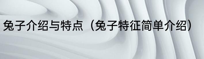 兔子介绍与特点（兔子特征简单介绍）