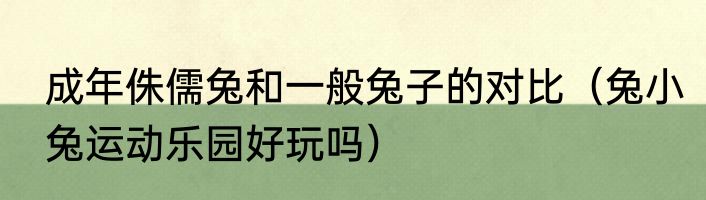 成年侏儒兔和一般兔子的对比（兔小兔运动乐园好玩吗）