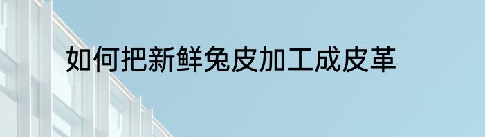 如何把新鲜兔皮加工成皮革