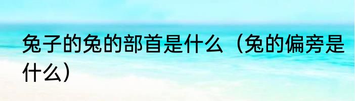 兔子的兔的部首是什么（兔的偏旁是什么）