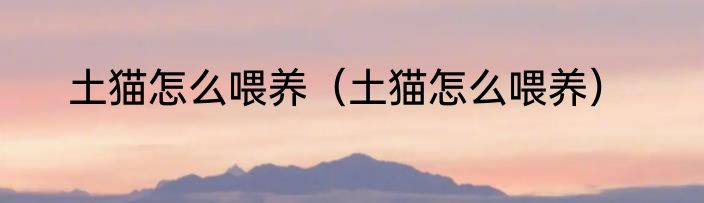 土猫怎么喂养（土猫怎么喂养）