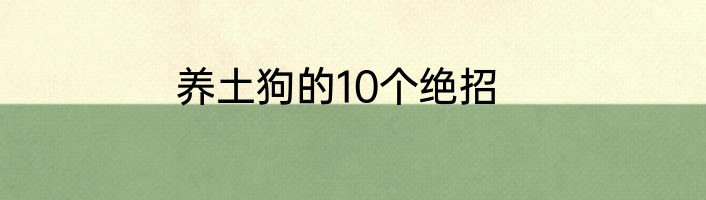 养土狗的10个绝招