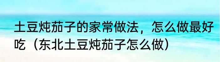 土豆炖茄子的家常做法，怎么做最好吃（东北土豆炖茄子怎么做）