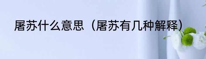 屠苏什么意思（屠苏有几种解释）